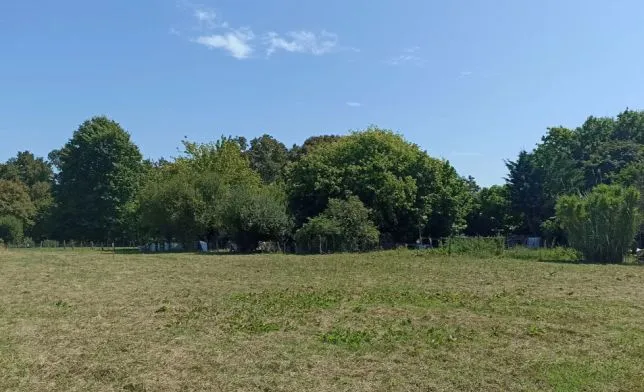 Photo de la maison n°1 à Saint-Sever