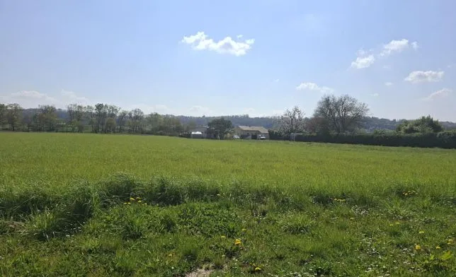 Photo de la maison n°0 à Toulouzette