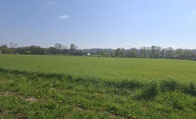 Photo de la maison n°1 à Toulouzette